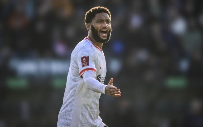 信心的不竭 信心的不竭